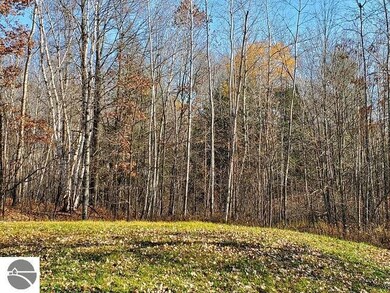 2631 S M 33, West Branch, MI 48661 - photo 2