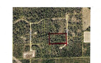 TBD Dig Ct, Fort White, FL 32038 - photo 3