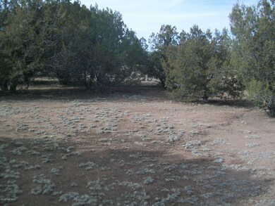 Flynn Lot 1063 meadow