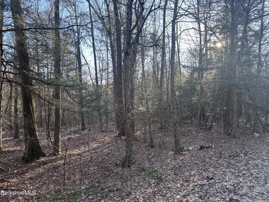 unlisted-address, Great Barrington, MA 01230 - photo 3