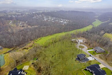 403 W Declan, Nixa, MO 65714 - photo 6