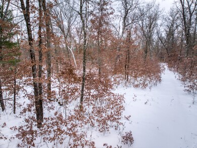 V/L W Bristol St, Webber Township, MI 49304 - photo 6