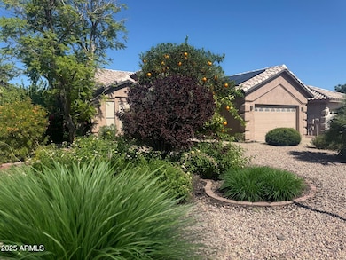 20644 N 41st Ave, Glendale, AZ 85308 - photo 2