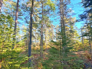 LOT 7 Third Creek Subdivision, Paradise, MI 49768 - photo 5