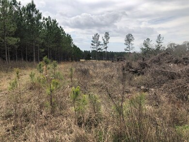 390 Lundy Rd, Sylvester, GA 31791 - photo 6