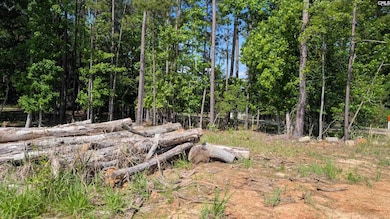 TBD Rolling Hills Rd, Ridgeway, SC 29130 - photo 2