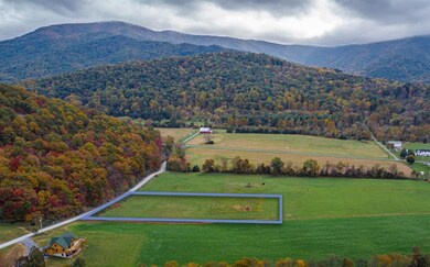 0 Log Cabin Dr unit 623902, Stanley, VA 22851 - photo 5