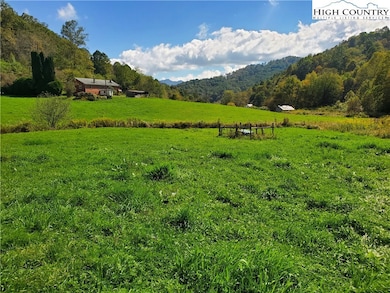 1411 Cabbage Creek Rd, Creston, NC 28615 - photo 3