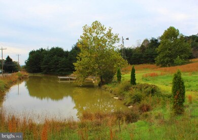 8958 Valley Rd unit 522, Berkeley Springs, WV 25411 - photo 2