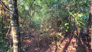 Alabama St, Roxie, MS 39661 - photo 5