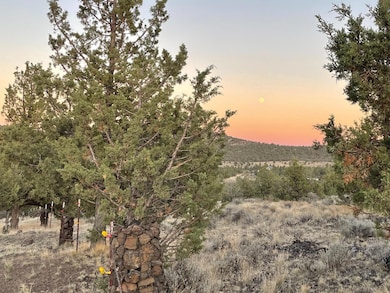 14751 SE Browning Rd, Prineville, OR 97754 - photo 4