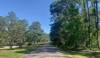 000 Woodlands Trace, Hattiesburg, MS 39402 - photo 4