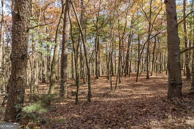 TR 2 Old Anderson Creek, Ellijay, GA 30536 - photo 2