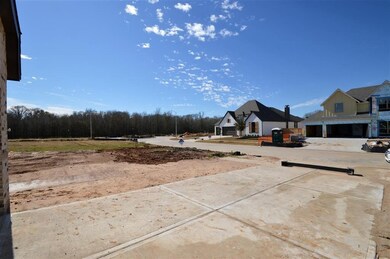 Please pardon our mess! Home is still under-construction. Thank You.
