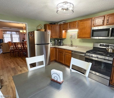 1 Pippin Ln, Hamburg, NJ 07419 - photo 7