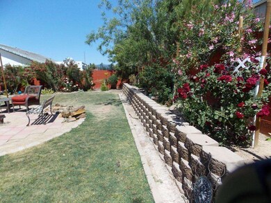 Planter and Yard