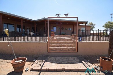 10590 Highway 549 SE, Deming, NM 88030 - photo 5