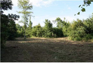 Several food plot sites