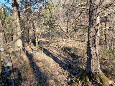 440499 E 1627 Rd, Tuskahoma, OK 74574 - photo 3