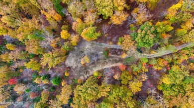 DJI_20241106160131_0025_D-HDR