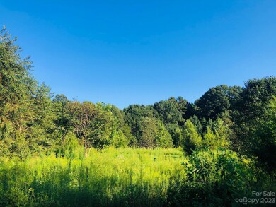 000 Vance Farm Dr, Statesville, NC 28625 - photo 2