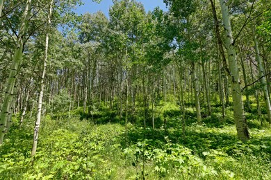 SHaydenLot11_HighRes_09