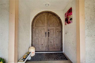 Beautifully arched, wooden, front double doors.