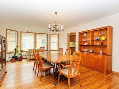 1041 Gunderson Ave, Oak Park, IL 60304 - photo 7