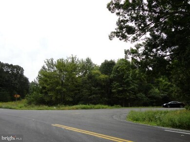 0 Ellisville Rd unit VAOR2006744, Orange, VA 22960 - photo 3