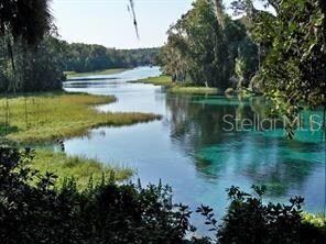 9183 SW 193rd Cir, Dunnellon, FL 34432 - photo 6