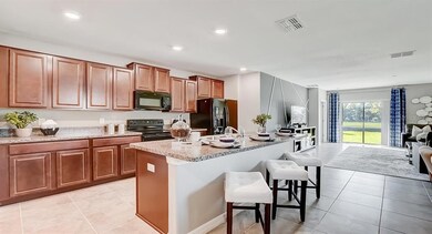 36639 Garden Wall Way, Zephyrhills, FL 33541 - photo 3