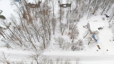 Lot 355 Oakridge Trail, Fulton Township, MI 48871 - photo 3