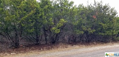 16004 Salado Dr, Temple, TX 76502 - photo 5