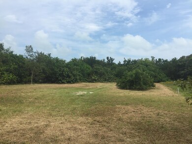 Cleared lot