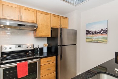 169 Monsignor Obrien Hwy unit 303, Cambridge, MA 02141 - photo 7