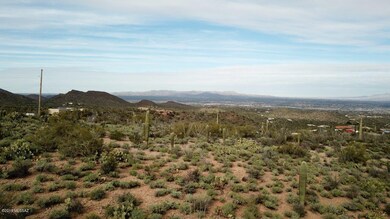 Broken Spring 1-30-19 (10)
