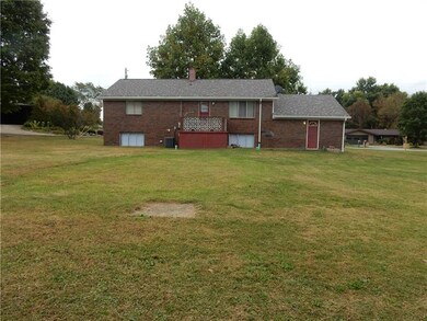 Look how big this back yard is!!