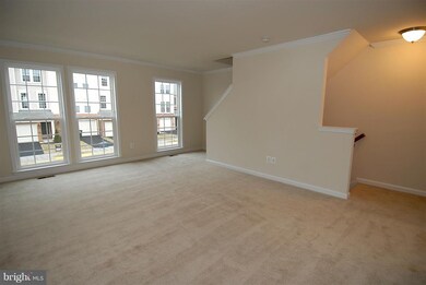25099 Green Mountain Terrace, Aldie, VA 20105 - photo 5