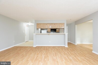 13110 Briarcliff Terrace unit 607, Germantown, MD 20874 - photo 3