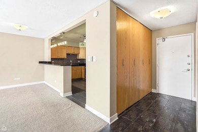 250 Ridge Ave unit 4H, Evanston, IL 60202 - photo 2