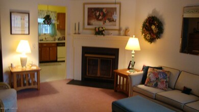 42 Hummingbird 008