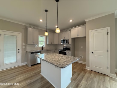 268 Bluejay St, Clayton, NC 27527 - photo 3