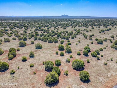 paxmanphotography_DJI_0409