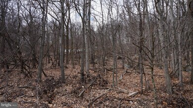 15 Roberts Ln, Berkeley Springs, WV 25411 - photo 5