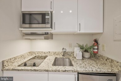 Schuyler Arms unit 509, Washington, DC 20009 - photo 7