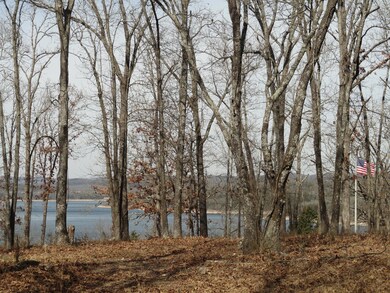 Lot 25 Lake Cottage Ln, Williams Township, MO 65747 - photo 4