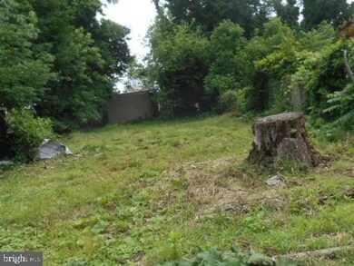 403 W 29th St, Wilmington, DE 19801 - photo 5