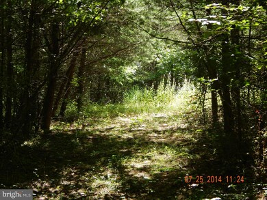 Rr 1 unit 1001181389, Kearneysville, WV 25430 - photo 4