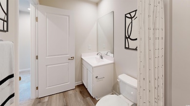 Bathroom with light wood-style flooring, vanity, and a shower with curtain