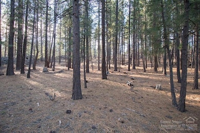 16804 Covina Rd, Bend, OR 97707 - photo 3